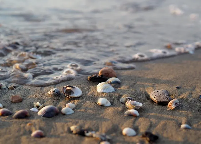 Beachfront Modern Flat With Sea View Appartamento